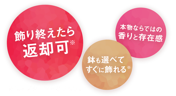 飾り終えたら返却可（※オプションとなります。）、鉢も選べてすぐに飾れる（※オプションとなります。）、本物ならではの香りと存在感