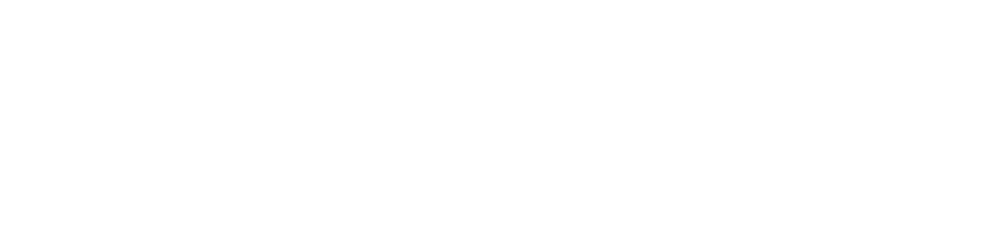 ご購入後もみの木お届け、12月25日（月）までもみの木を飾る、ツリーの片付けと返送のご準備、1月4日（木）から1月31日（水）にもみの木を返却！