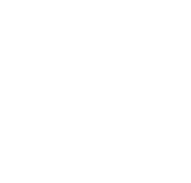 ご購入後もみの木お届け、12月25日（月）までもみの木を飾る、ツリーの片付けと返送のご準備、1月4日（木）から1月31日（水）にもみの木を返却！