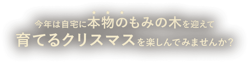 今年は自宅に“本物の”もみの木を迎えて育てるクリスマスを楽しんでみませんか？