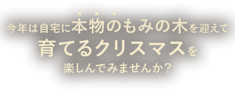 今年は自宅に“本物の”もみの木を迎えて育てるクリスマスを楽しんでみませんか？