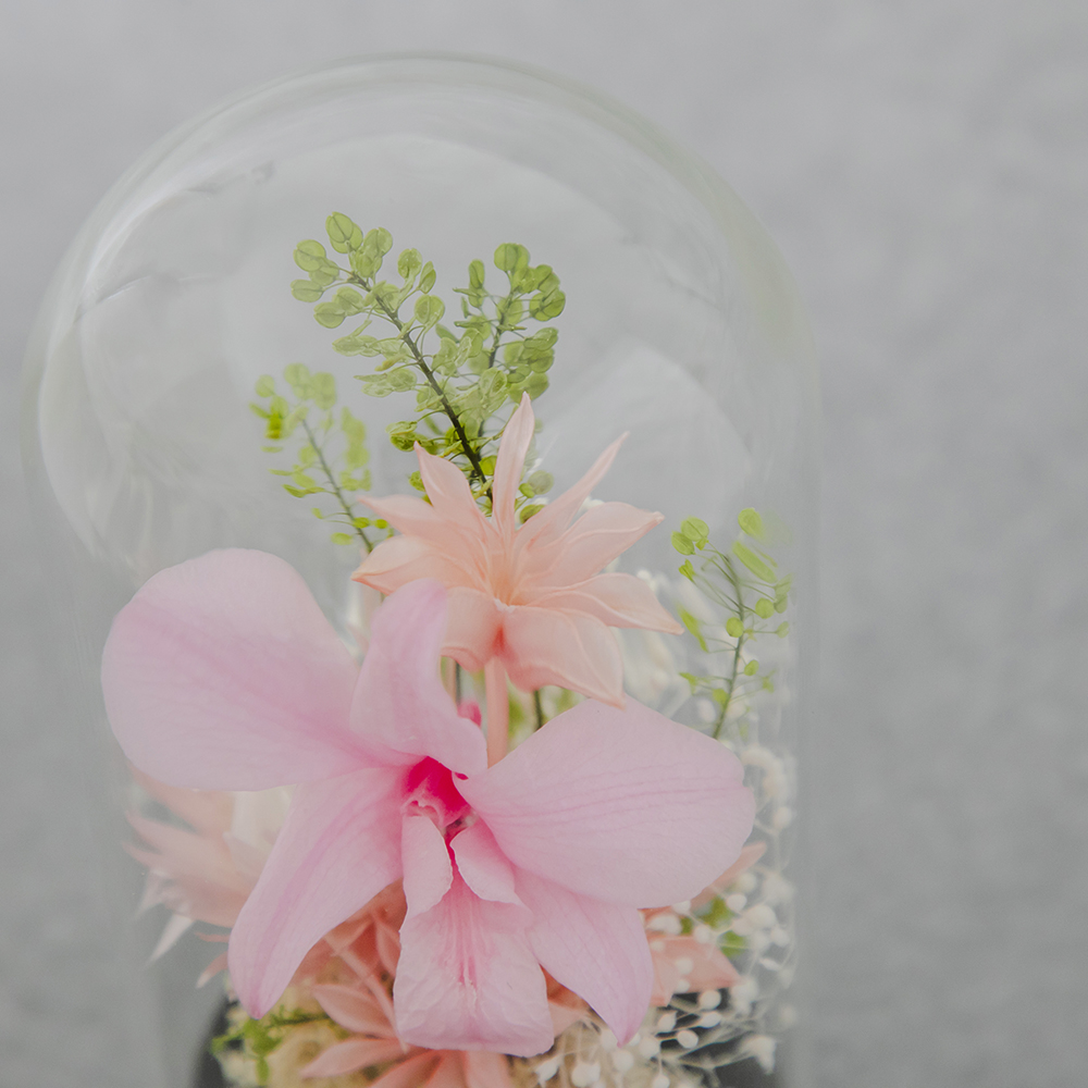 お供えプリザーブドフラワー ドームC ピンク | FUREAI - 特別な日の