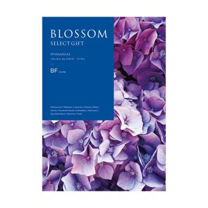 結婚内祝い用】ブロッサムセレクトギフト アジサイBF | FUREAI - 特別