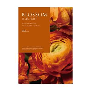 ブロッサム カタログギフト チューリップ ＢＨコース １万円相当 カタログギフト ブロッサム（BLOSSOM） BH チューリップ 11,880