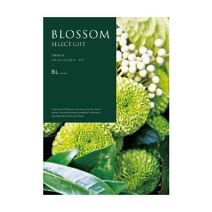 特別価格sofliym Flower Blossom Molds Silicone for Chocolate Candy Gummy, Flower Baking Molds with Scraper並行輸入 結婚内祝い用ブロッサムセレクトギフト ダリアBL | FUREAI - 特別な