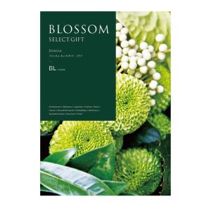 BLOSSOM SELECT GIFT BLダリア | FUREAI - 特別な日の通販 “フレアイ”