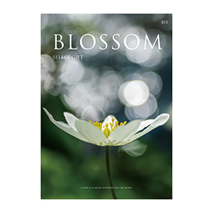 ウィスクイー blossom ブロッサム31年 未開封 結婚内祝い用】ブロッサムセレクトギフト BA | FUREAI - 特別な日の