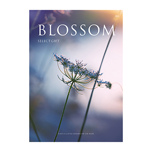 結婚内祝い用】ブロッサムセレクトギフト BM | FUREAI - 特別な日の