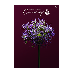 結婚内祝い用】ブロッサムセレクトギフト BM | FUREAI - 特別な日の