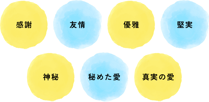 本州最西端の満開ミモザ | FUREAI - 特別な日の通販 “フレアイ”